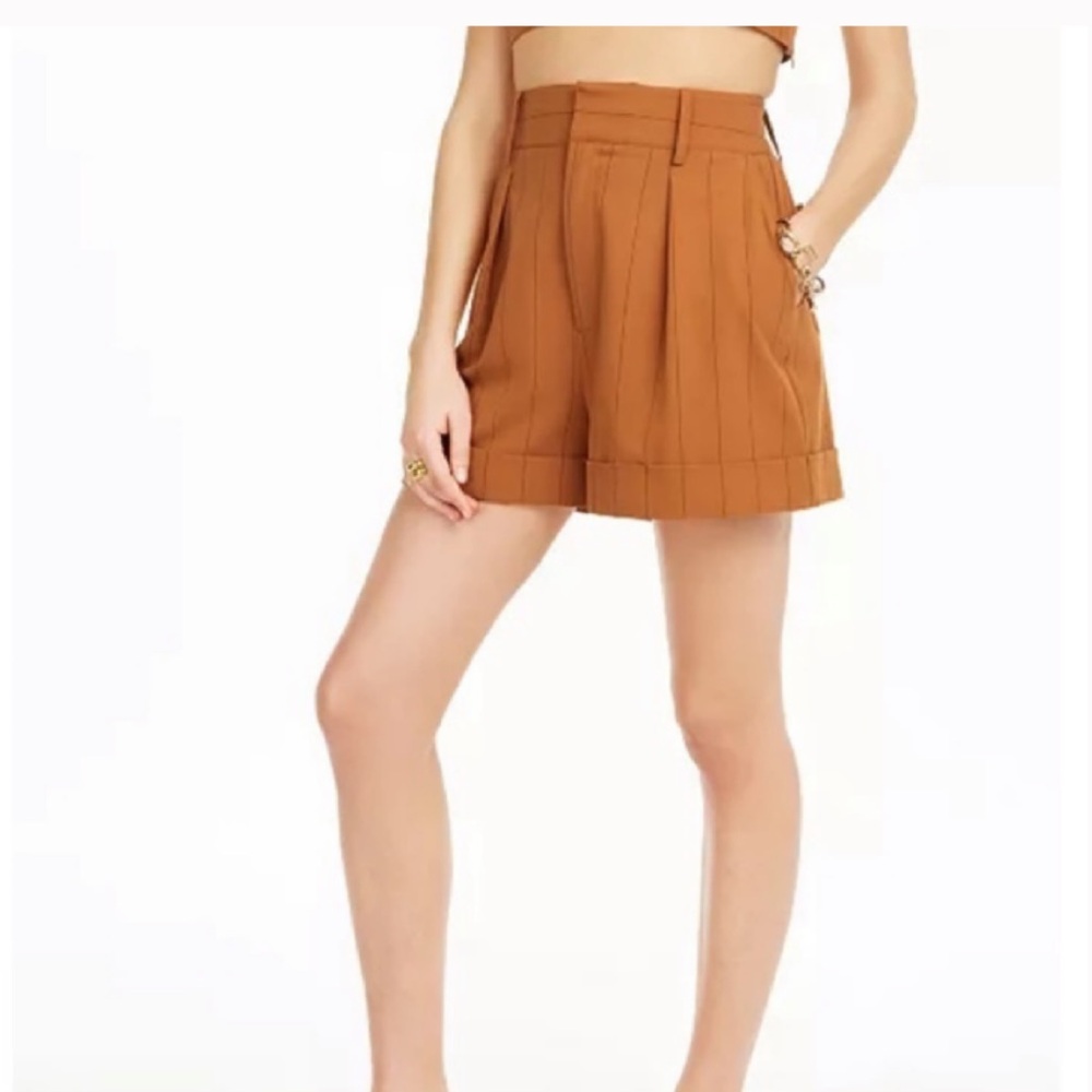 Danielle Bernstein Shorts - image 1
